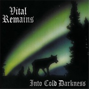 Vital Remaint - Into Cold Darkness