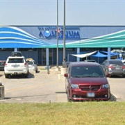 San Antonio Aquarium