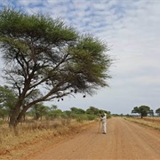Zaagkuilsdrift Road, South Africa