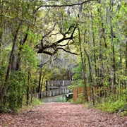 Oatland Island Wildlife Center