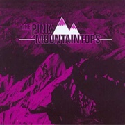 Pink Mountaintops (Pink Mountaintops , 2004)