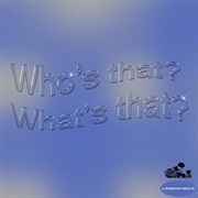Who's That What's That - Niko B