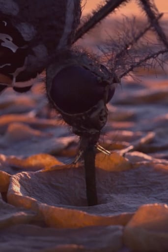 Ode to Seekers 2012 (2016)