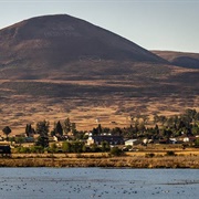 Wakkerstroom, South Africa