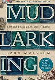 Mudlark (Lara Maiklem)