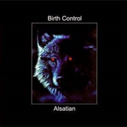 Birth Control - Alsatian