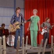 The Partridges in the Partridge Family