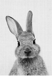 Once We Were Four (1942)