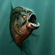 Piranha - Piranha 3D