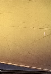 Bird (Sherman) (1976)