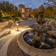 Franciscan University of Steubenville