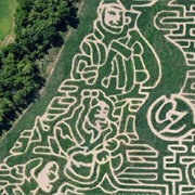 Coleman's Farm & Corn Maze (Saline, MI)