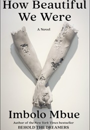 How Beautiful We Were (Imbolo Mbue)