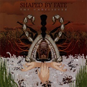 Shaped by Fate – the Unbeliever (2007)