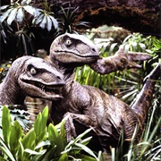 Velociraptors (Jurassic Park, 1993)