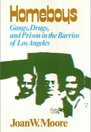 Homeboys: Gangs, Drugs, and the Prison in the Barrios of Los Angeles (Joan Moore)