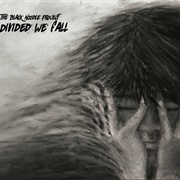 The Black Noodle Project - Divided We Fall