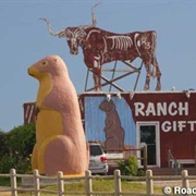 Giant Prairie Dog, SD