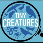 Tiny Creatures