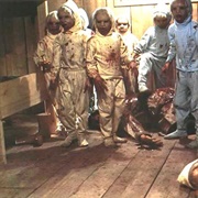 Nola's Children – the Brood