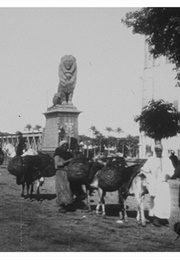 Sortie Du Pont De Kasr-El-Nil (Ânes) (1897)