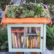 Make a Little Free Library