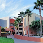 California State University, Los Angeles