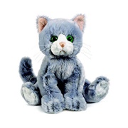 Silversoft Cat