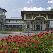 Roger Tory Peterson Institute of Natural History