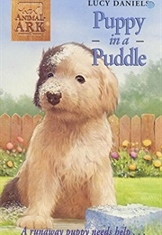 Puppy in a Puddle (Lucy Daniels)