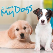 I Love My Dogs