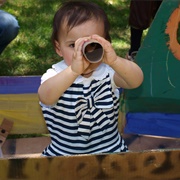 Using a Toliet Paper Roll as a Telecope