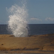 Bicheno Blowhole
