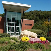 Penn State Greater Allegheny