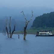 Thekkady