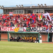 Ultras Virtus Verona