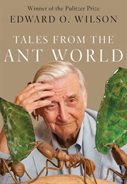 Tales From the Ant World (E.O. Wilson)