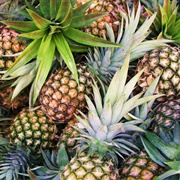 Mexican Pineapple