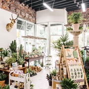 Grounded Plant and Floral Co.