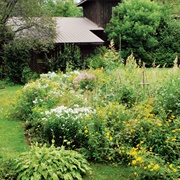 Let Your Garden Grow Wild