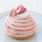 Cherry Blossom Mont Blanc