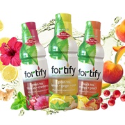 Fortify Premium Cold Brew Tea