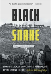 Black Snake: Standing Rock, the Dakota Access Pipeline, and Environmental Justice (Katherine Wiltenburg Todrys)