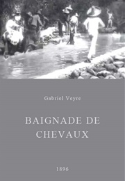 Baignade De Chevaux (1896)