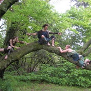 Shakespeare in the Arb, Ann Arbor