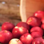 Fruit Ridge, West Michigan