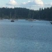 Mystery Bay State Park