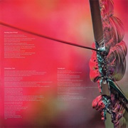 Sometimes I Feel - Richard Hawley