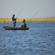 Freshwater Fishing