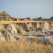 Badlands Medicine Root/Castle Loop Trail
